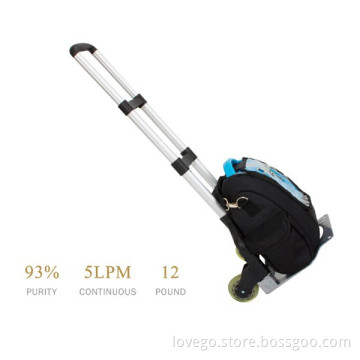 mini portable oxygen generator price